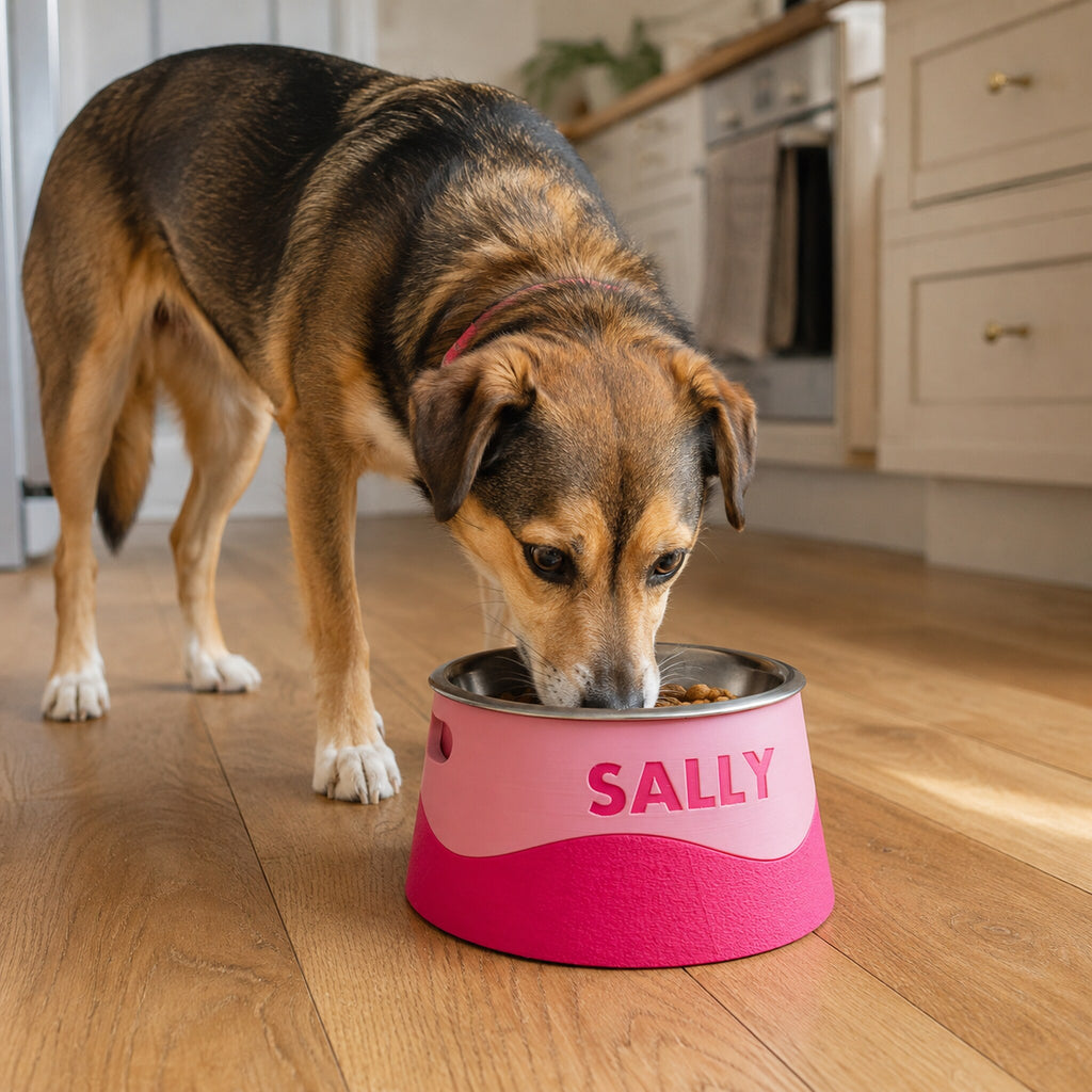 Lifestyle Sally — personalised elevated wavy dog bowl