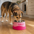 Lifestyle Sally — personalised elevated wavy dog bowl