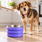 Dog standing beside a purple stacked bowl riser personalised with SALLY.