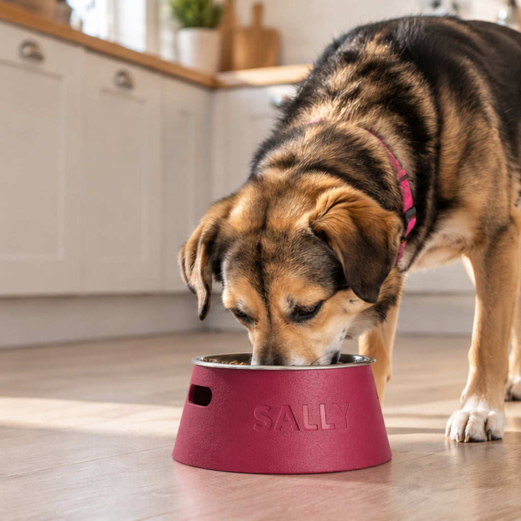 Sally using a personalised tapered pet bowl riser in a bright kitchen