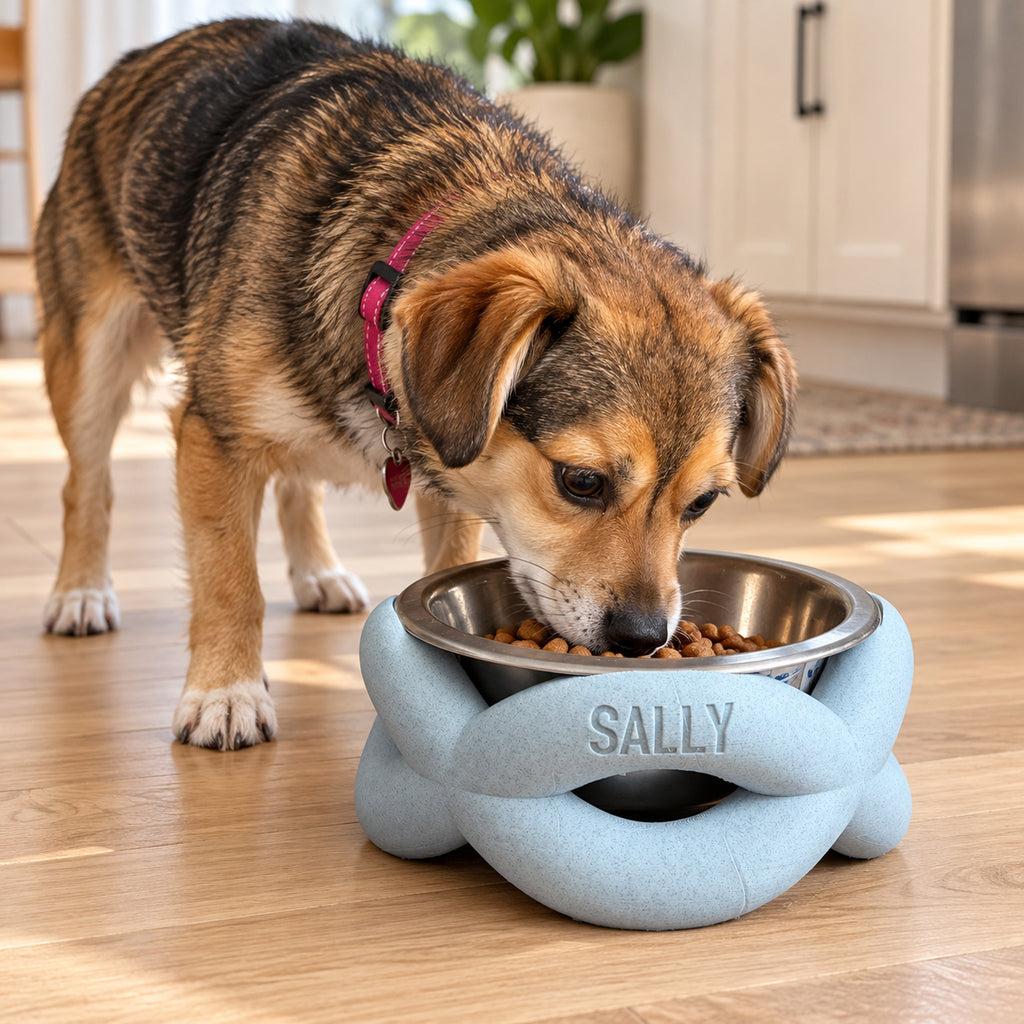 Dog eating from a pale blue twisted bowl riser personalised with SALLY.