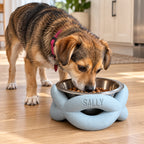 Dog eating from a pale blue twisted bowl riser personalised with SALLY.