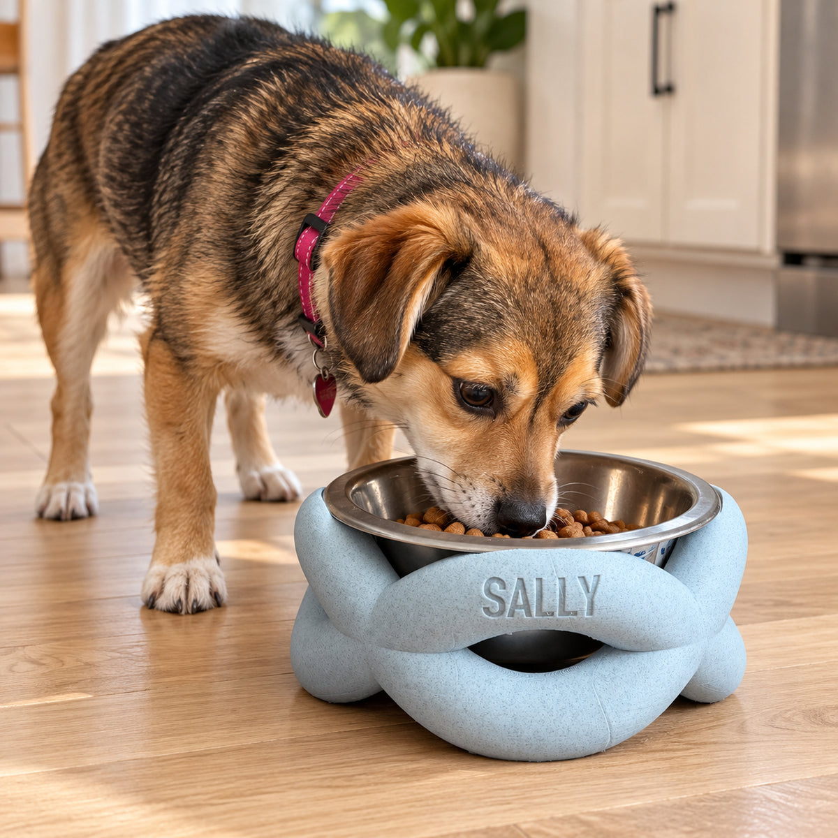 Dog eating from a pale blue twisted bowl riser personalised with SALLY.