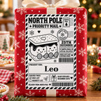 Festive Sandwich North Pole sticker personalised with Leo, shown on a wrapped Christmas gift.