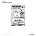 Christmas Present parcel sticker preview with example name Amelia and the Nice List ticked.